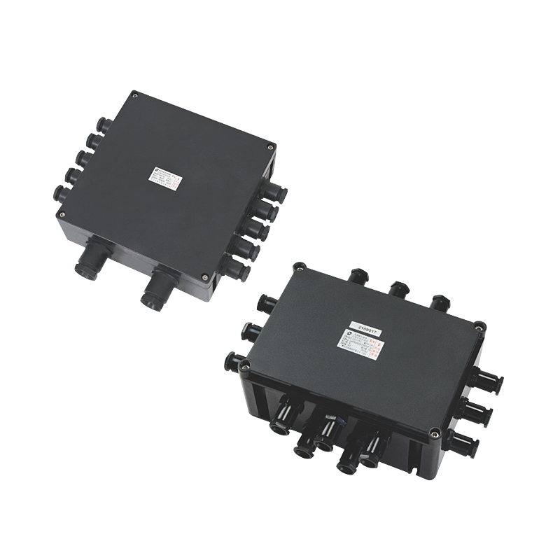 BJX8030系列防爆接線箱（ⅡB、ⅡC、ⅢC）